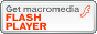 get flash logo